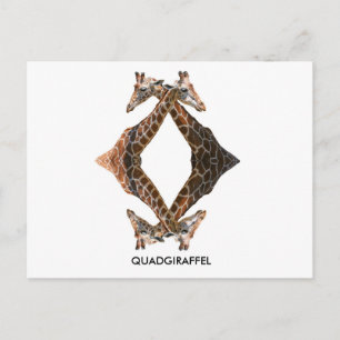 QUADGIRAFFEL VYKORT