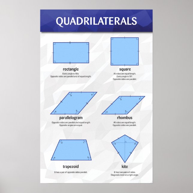 Quadrilaterals Poster (Framsidan)