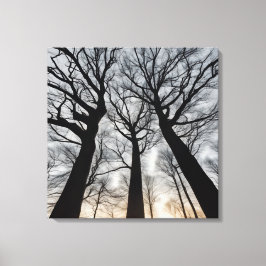 Quadro Árvore seca no deserto Canvastryck