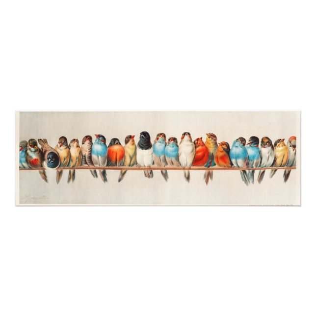 Quadro com grupo de pássaros fototryck (Framsidan)