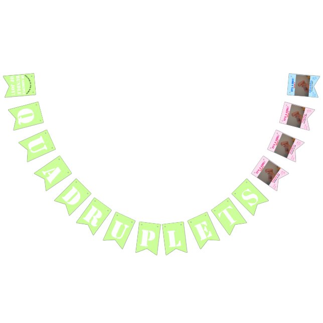 Quadruplet Girl's Boy Bunting Banner Vimplar (Alla)