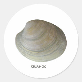 Quahog Clam Runt Klistermärke