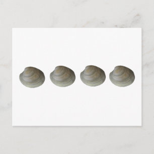 Quahog Clams-Logotyp Vykort