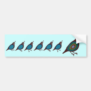 Quail Bildekal