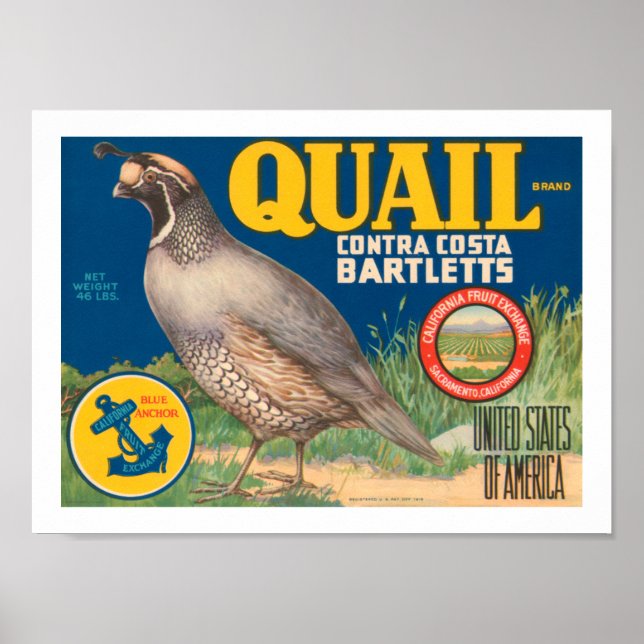 Quail Brand Contra Costa Bartletts Poster (Framsidan)