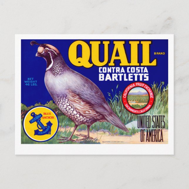 Quail Brand Contra Costa Bartletts Vykort (Framsida)