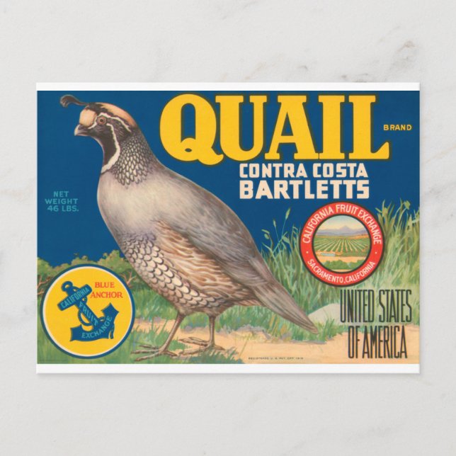 Quail Brand Contra Costa Bartletts Vykort (Framsida)