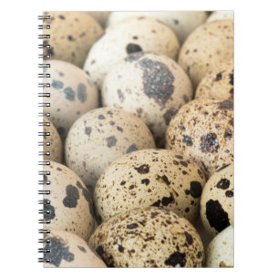 Quail Eggs Anteckningsbok