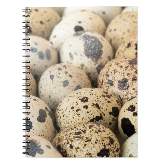Quail Eggs Anteckningsbok (Framsidan)