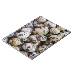 Quail Eggs Anteckningsbok