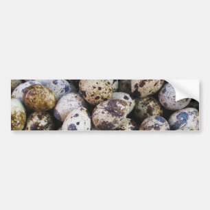 Quail Eggs Bildekal