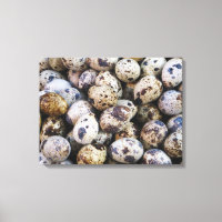 Quail Eggs