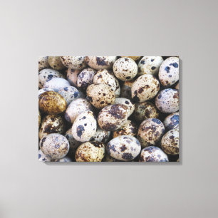 Quail Eggs Canvastryck