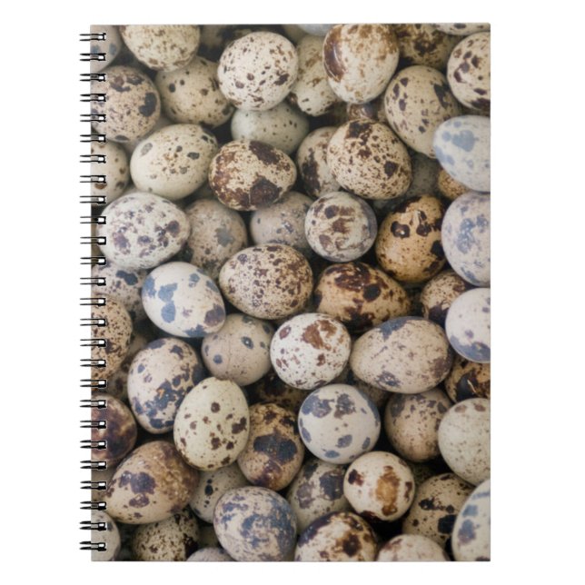 Quail Eggs, Huaraz, Cordillera Blanca, Ancash Anteckningsbok (Framsidan)