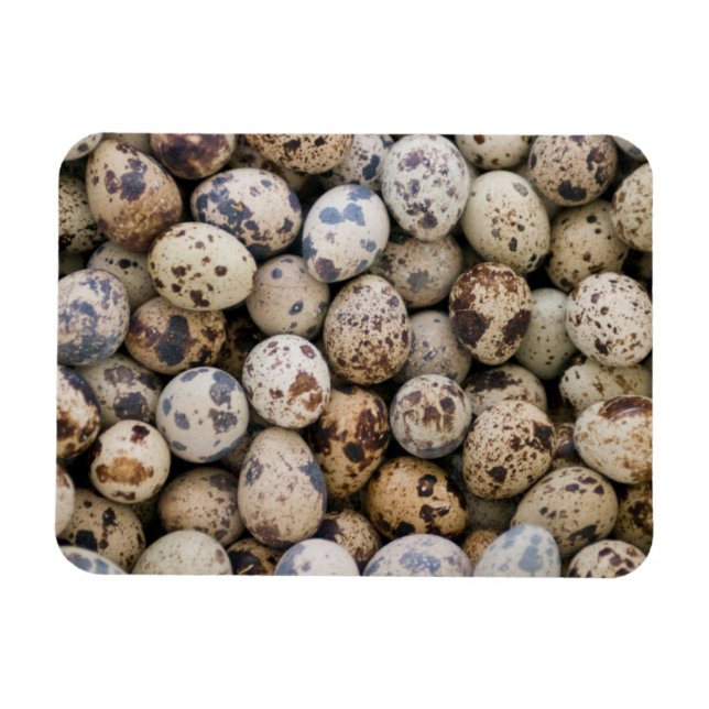 Quail Eggs, Huaraz, Cordillera Blanca, Ancash Magnet (Horisontell)