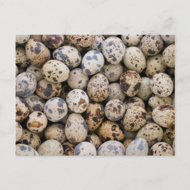 Quail Eggs, Huaraz, Cordillera Blanca, Ancash Vykort (Framsida)