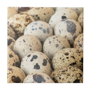 Quail Eggs Kakelplatta