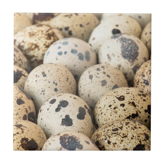 Quail Eggs Kakelplatta (Framsidan)