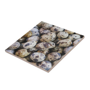 Quail Eggs Kakelplatta