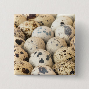 Quail Eggs Knapp