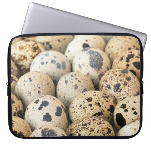 Quail Eggs Laptop Fodral