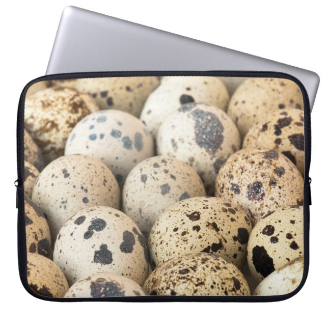 Quail Eggs Laptop Fodral (Framsidan)
