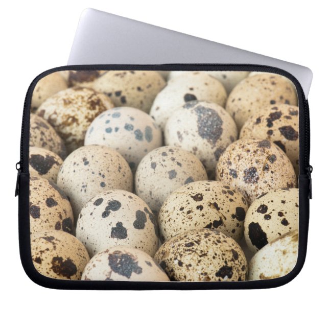 Quail Eggs Laptop Sleeve (Framsidan)