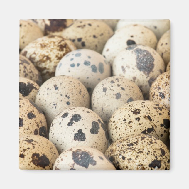 Quail Eggs Magnet (Framsidan)
