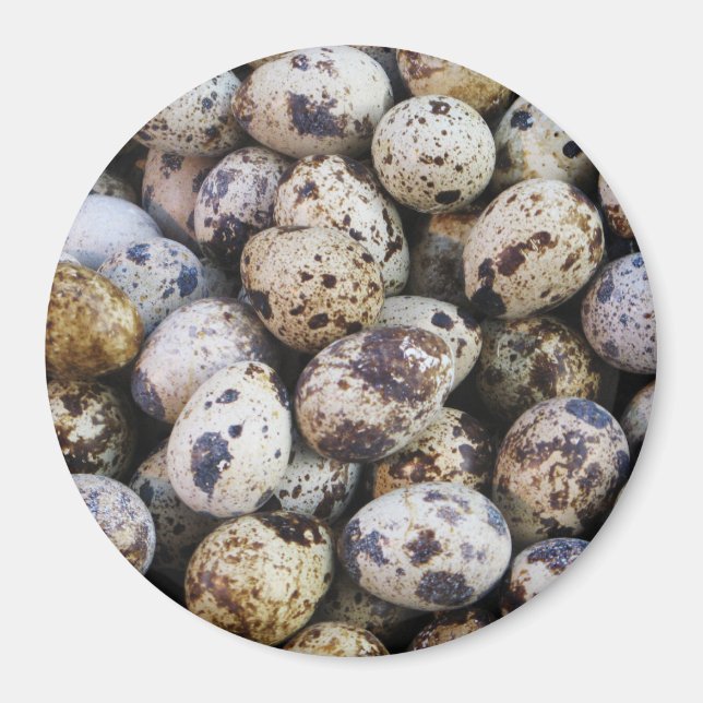 Quail Eggs Magnet (Framsidan)