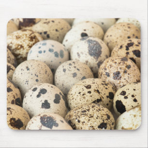 Quail Eggs Musmatta
