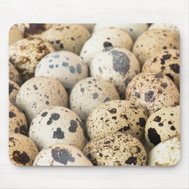 Quail Eggs Musmatta (Framsidan)