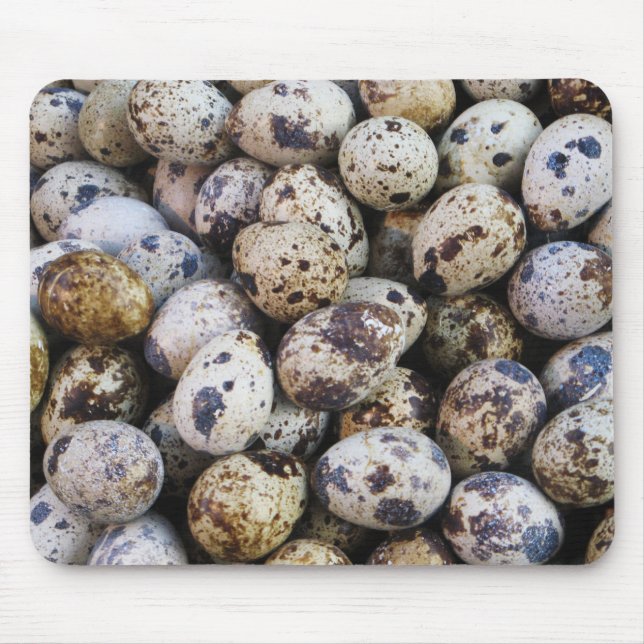 Quail Eggs Musmatta (Framsidan)