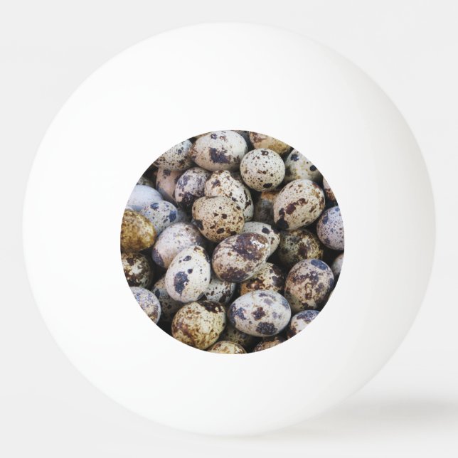 Quail Eggs Pingisboll (Framsidan)