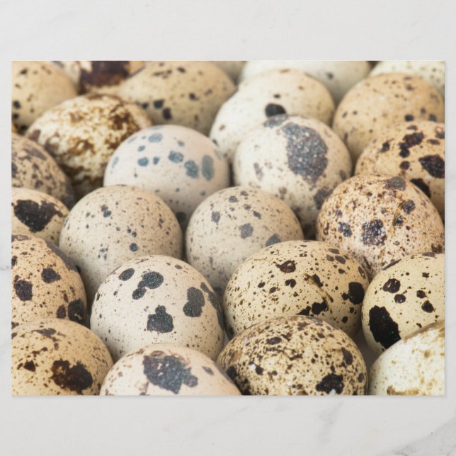 Quail Eggs Reklamblad (Framsidan)
