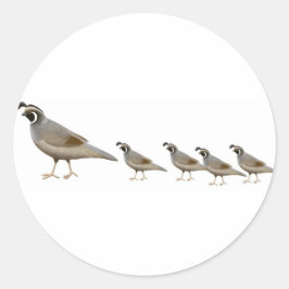 Quail Family Sticker Runt Klistermärke