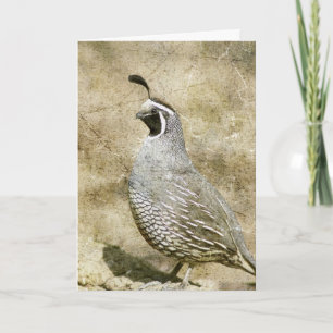 Quail födelsedag kort