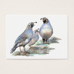 Quail för ACEO-ATC Kalifornien Visitkort