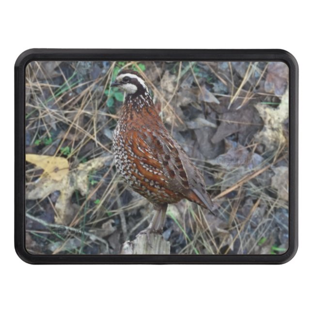 Quail Hunting Gifts, Bobwhite Quail Hitch Cover Dragkroksskydd (Framsidan)