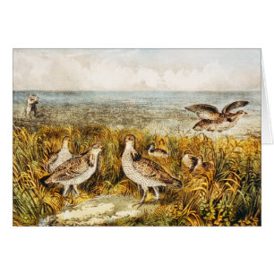 Quail Hunting - Vintage bra Art Hälsningskort