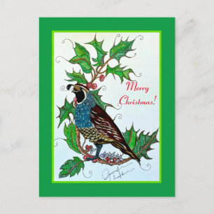 Quail in Holly Vykort