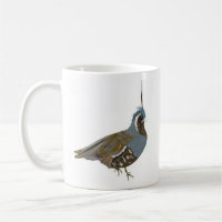 Quail