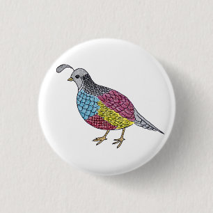 quail knapp