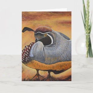 Quail Kort