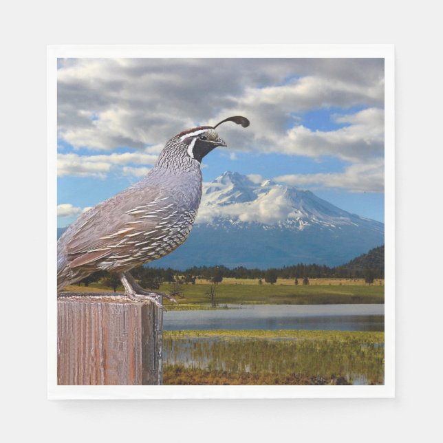 QUAIL OCH SHASTA PAPPERSSERVETT (Framsidan)