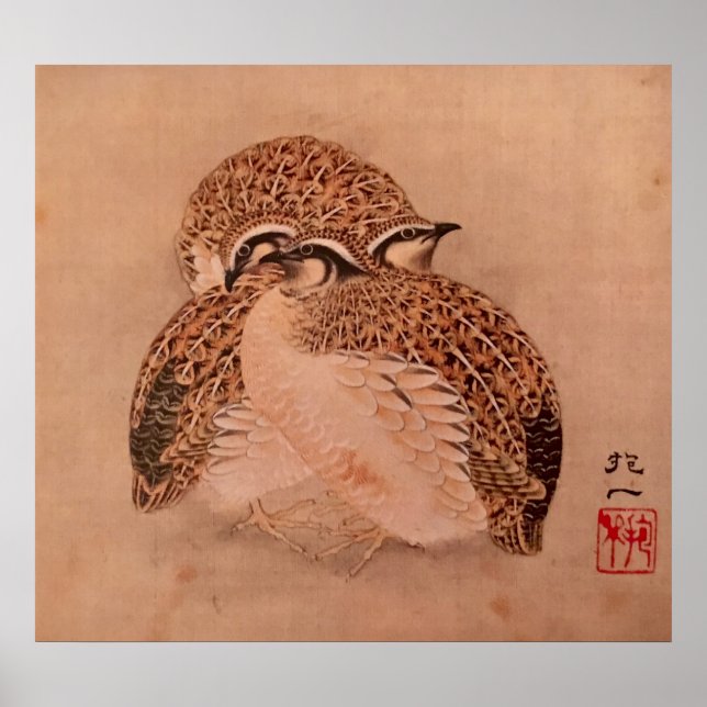 Quail Trio Poster (Framsidan)