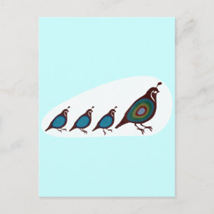 Quail Vykort