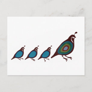 Quail Vykort