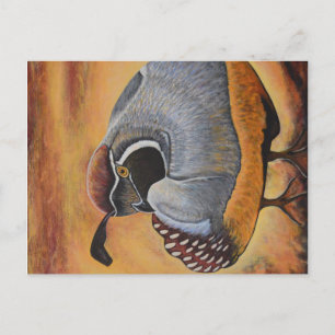 Quail Vykort
