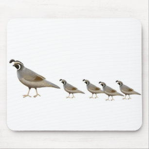 Quailfamilj Mousepad Musmatta