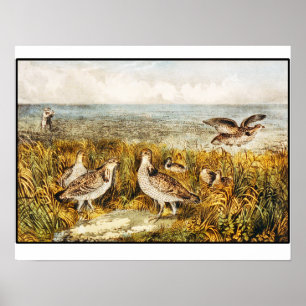 Quailjakt - vintagekonst poster